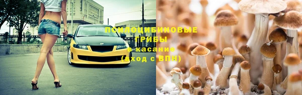 стафф Аксай