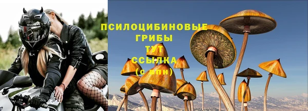 COCAINE Магас