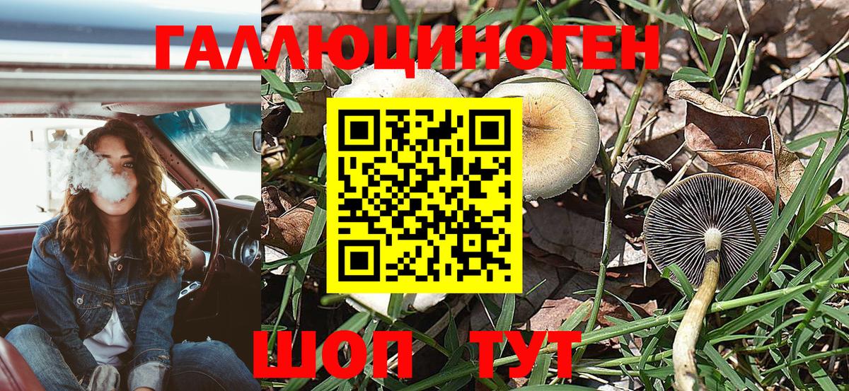 Псилоцибиновые грибы Magic Shrooms Троицк