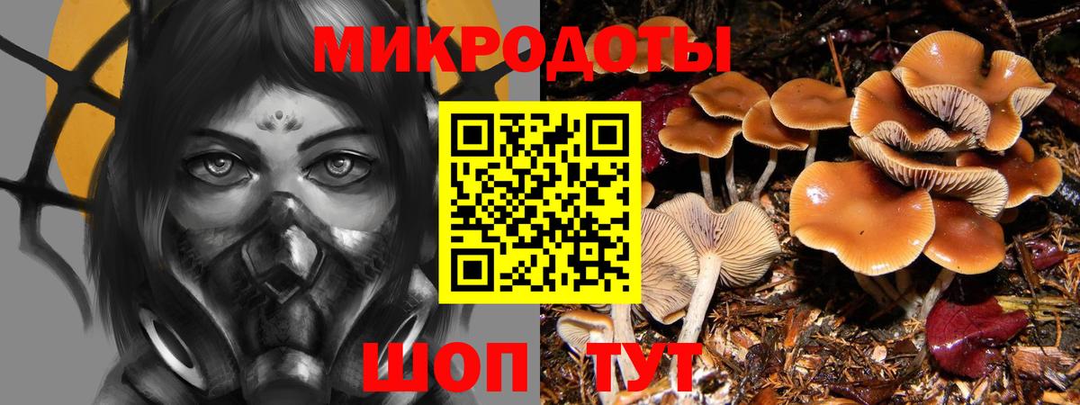 Галлюциногенные грибы мицелий  Вход с VPN  Троицк 