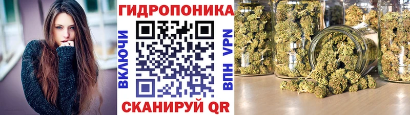ссылка на мегу онион Троицк Каннабис план